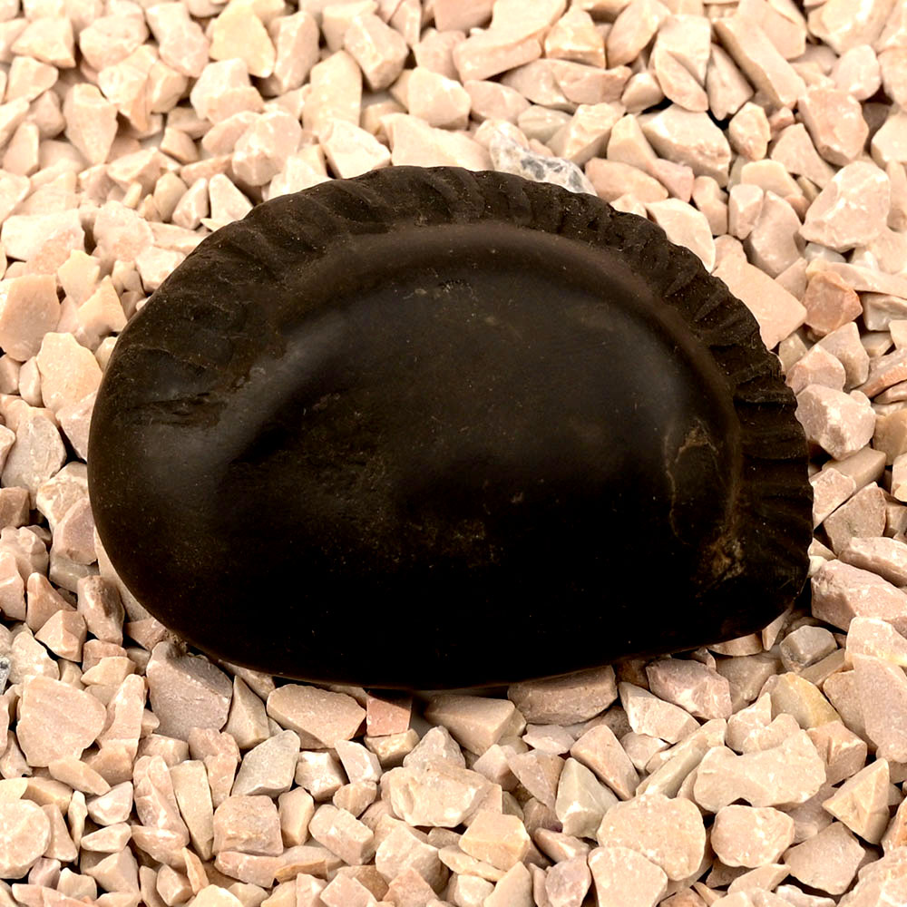 Buddha Avatar Shaligram Shila