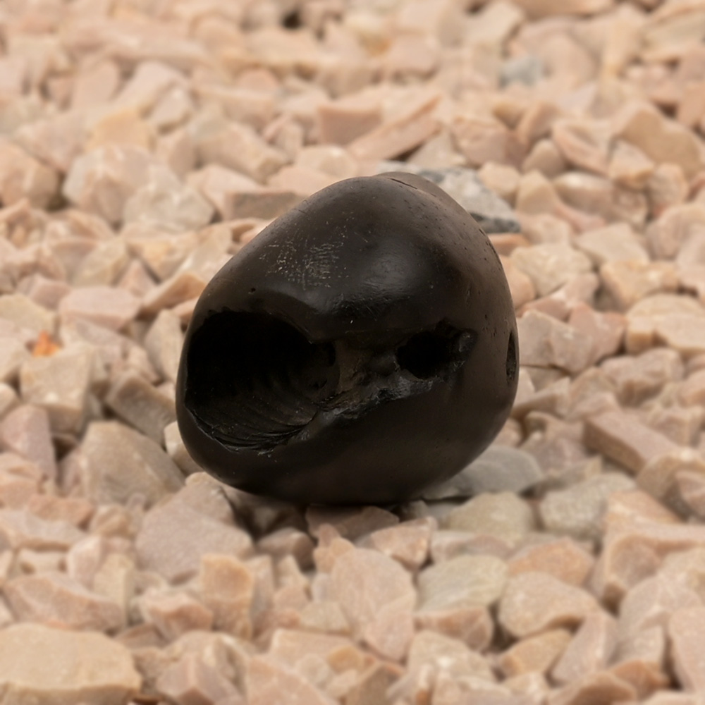 Narsimha Shaligram Shila - III