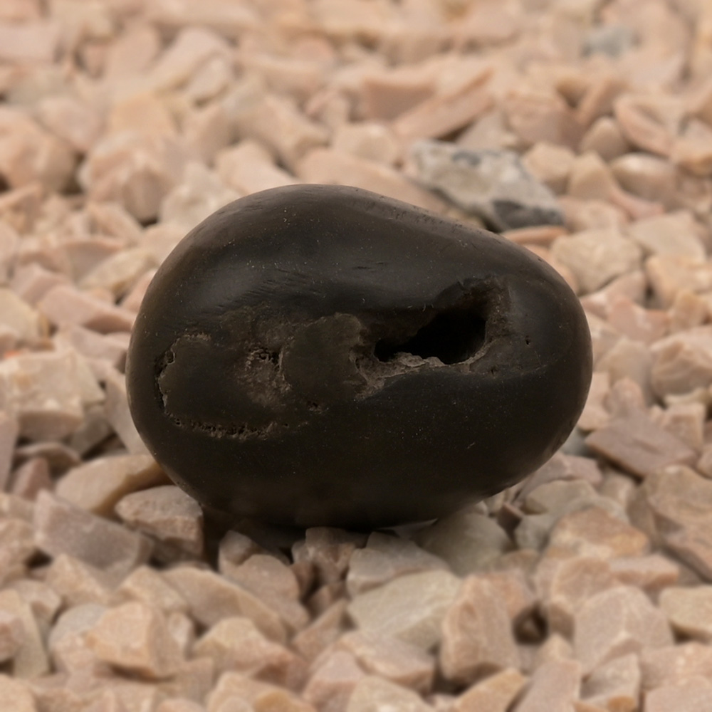 Krishna Paduka Shaligram Shila - II