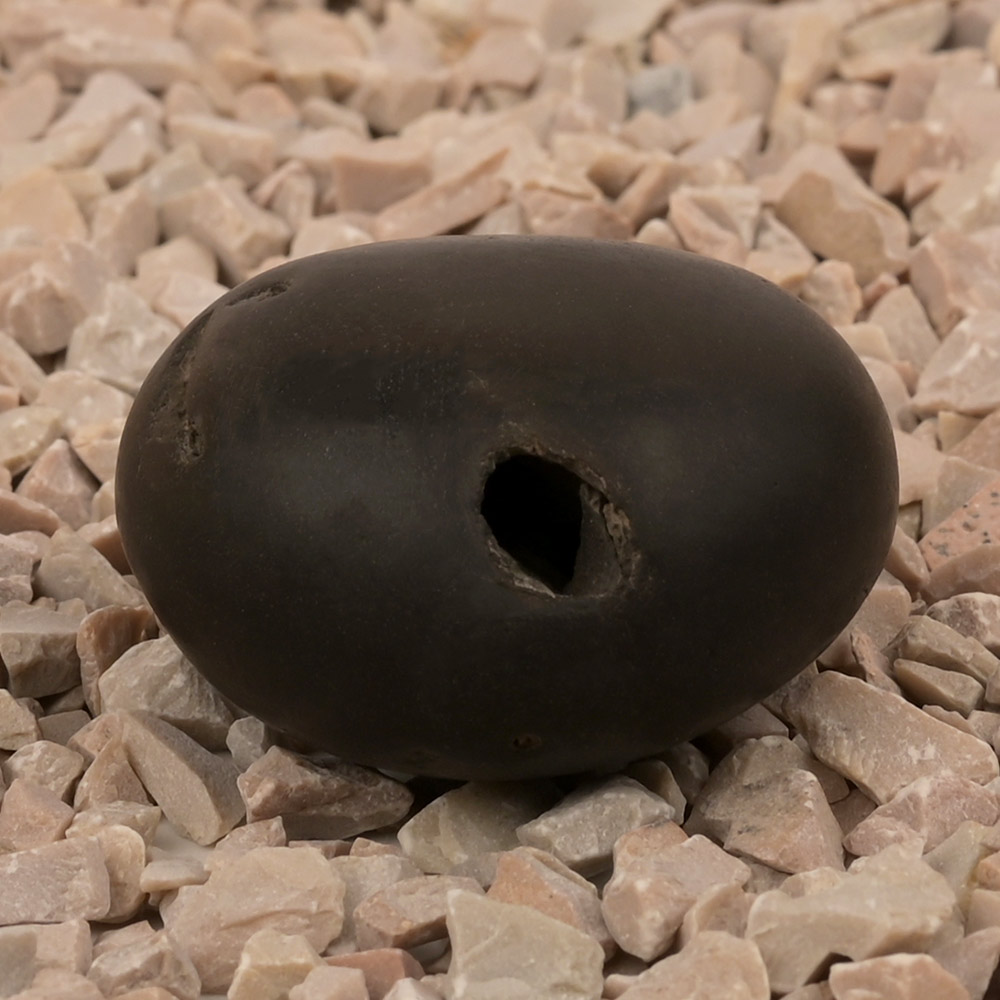 Laxmi Narayan Shaligram Shila - XVII