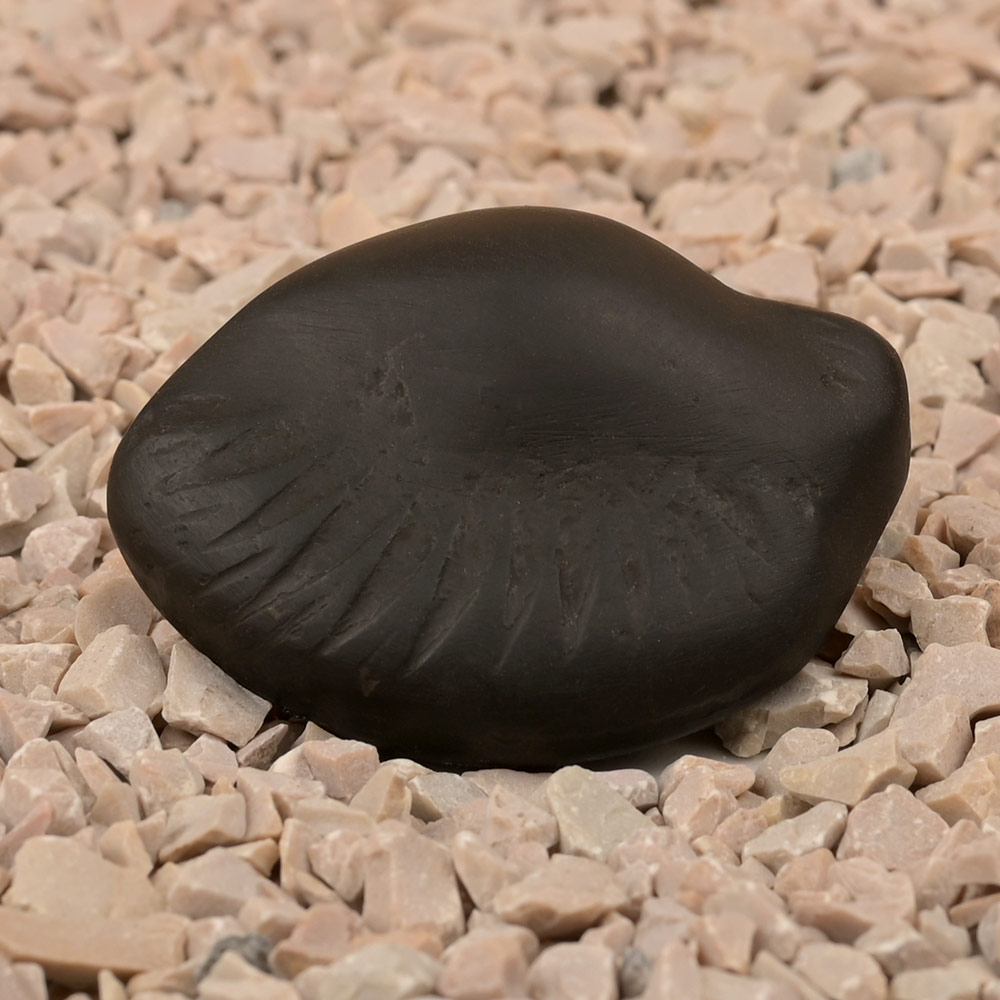 Hiranyagarbha Shaligram Shila
