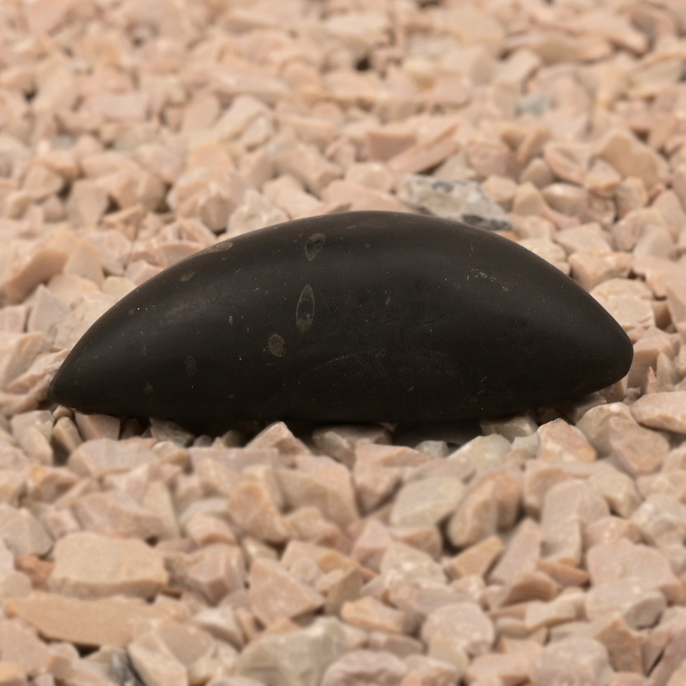 Swarna Matsya Shaligram Shila