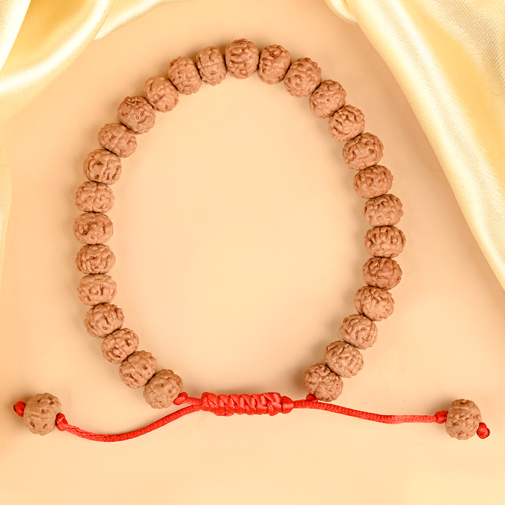 Premium 7 Mukhi Rudraksha Adjustable Bracelet