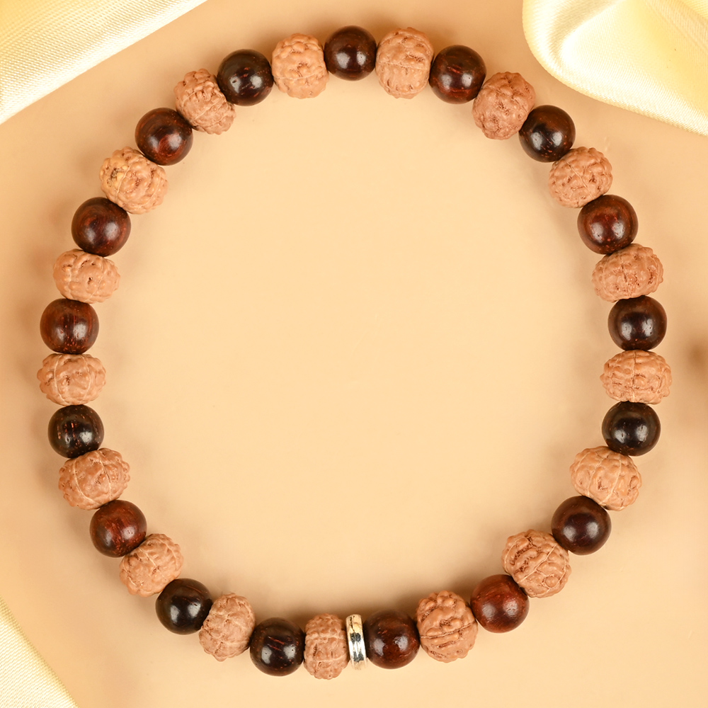 Premium 7 Mukhi x Red Sandalwood Bracelet