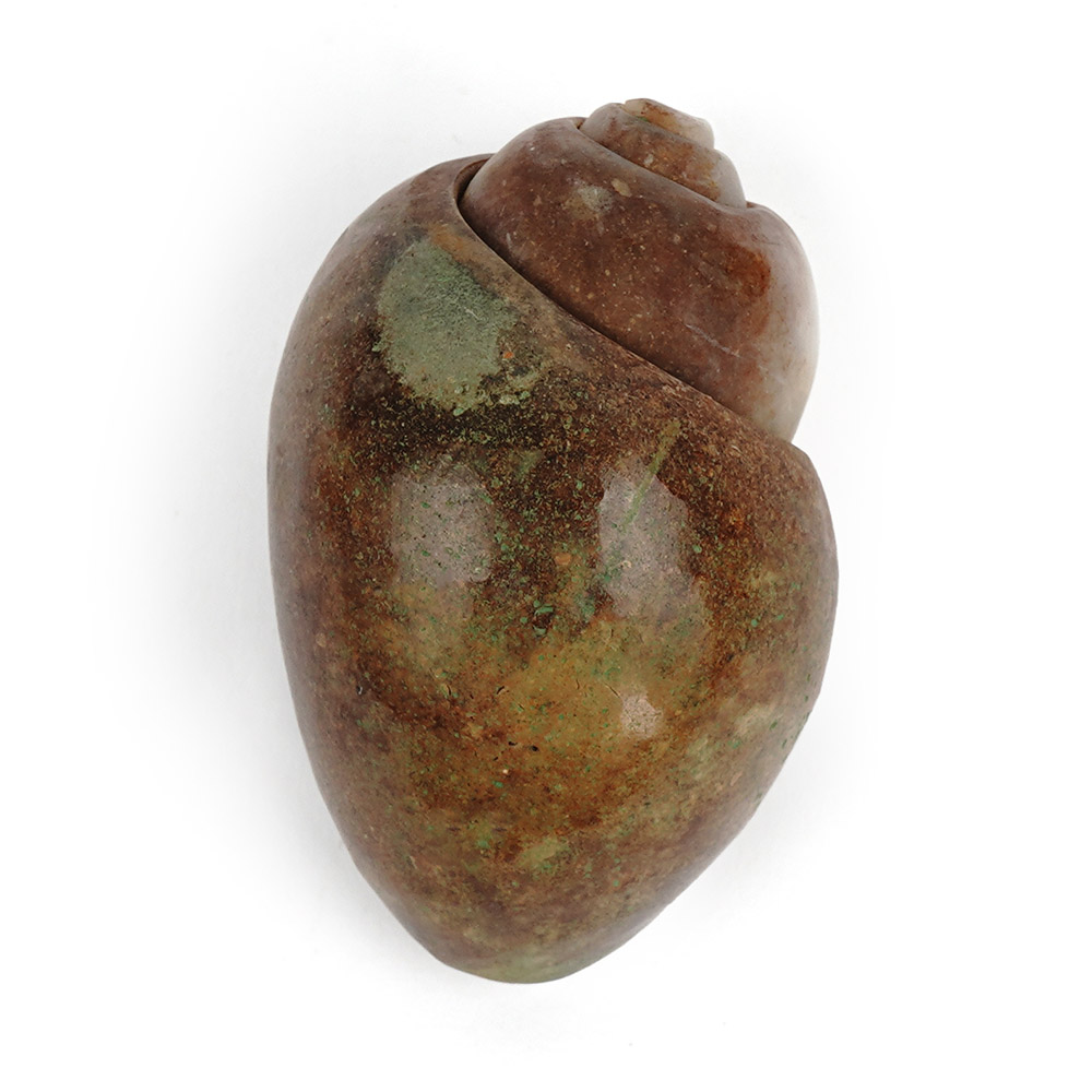 Heera Shankh Conch - 140 gms