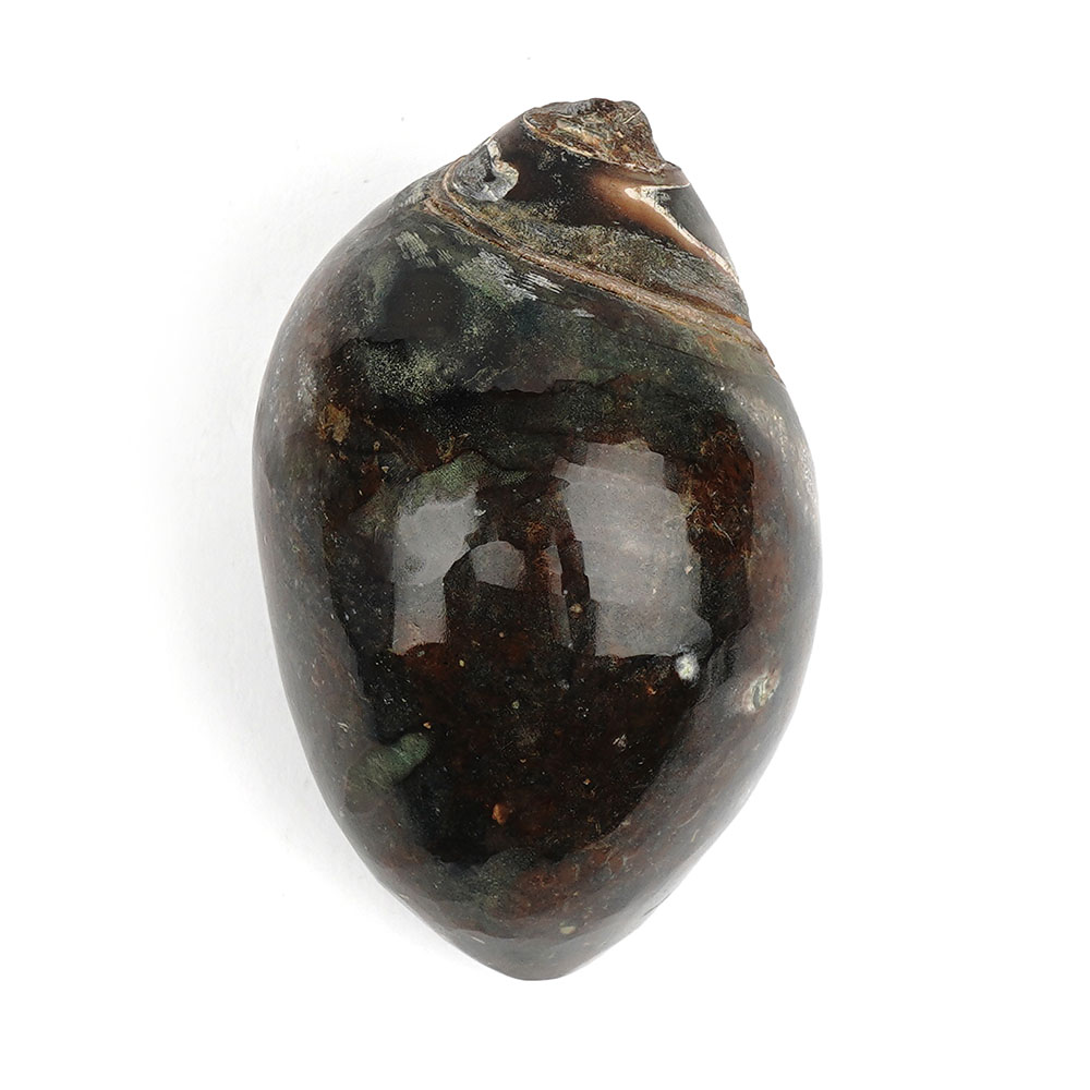 Heera Shankh - 130 gms