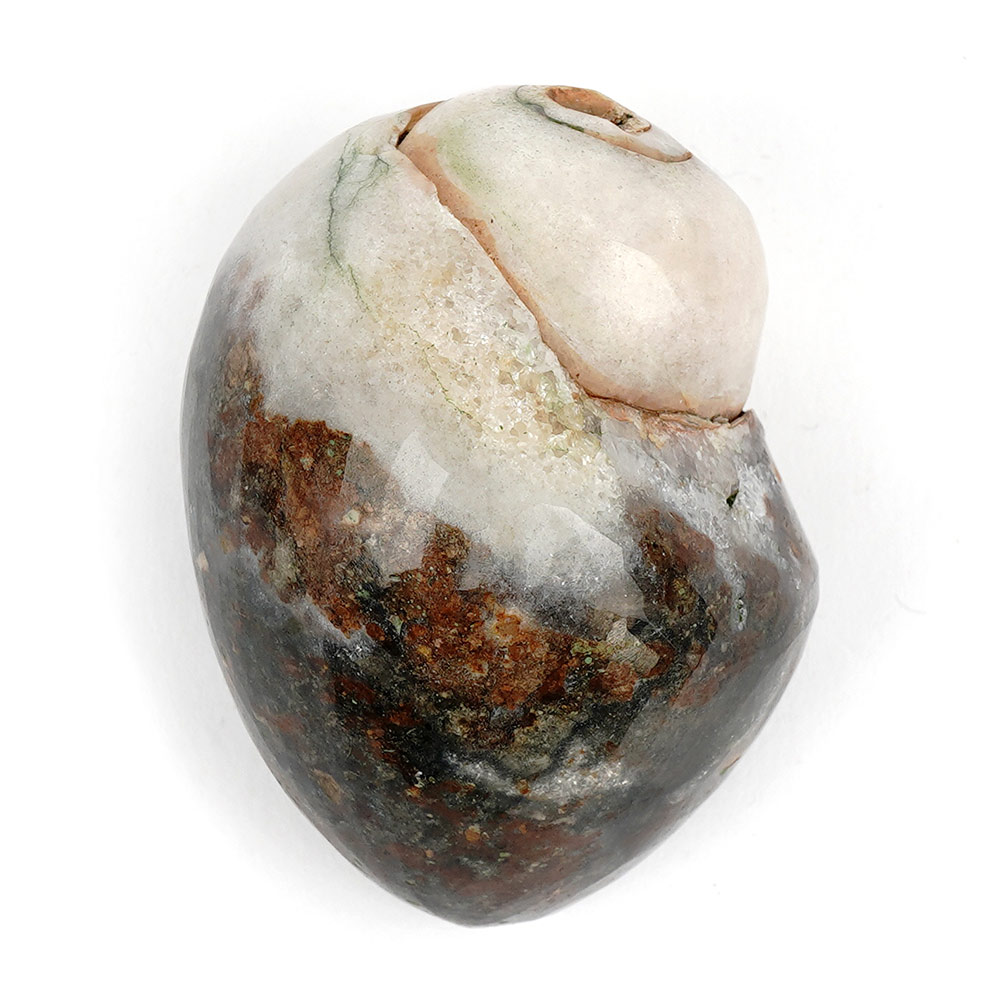 Heera Shankh - 128 gms