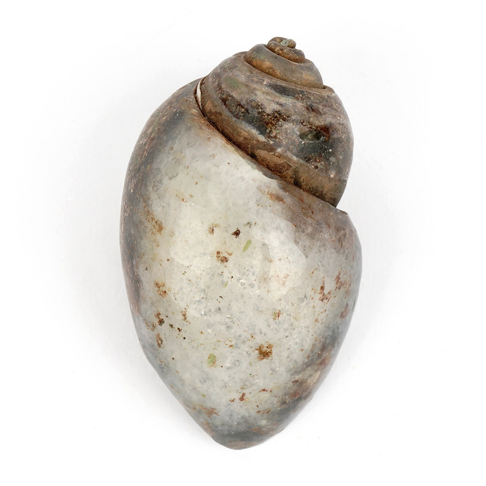 Heera Shankh - 107 gms