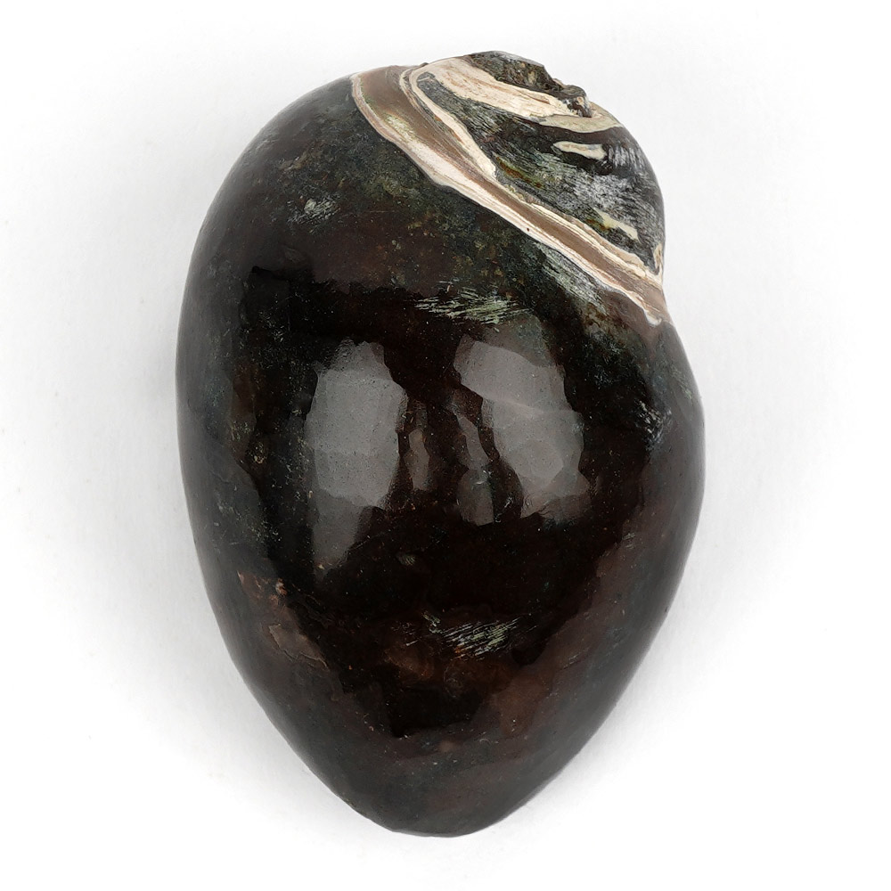 Heera Shankh - 170 gms