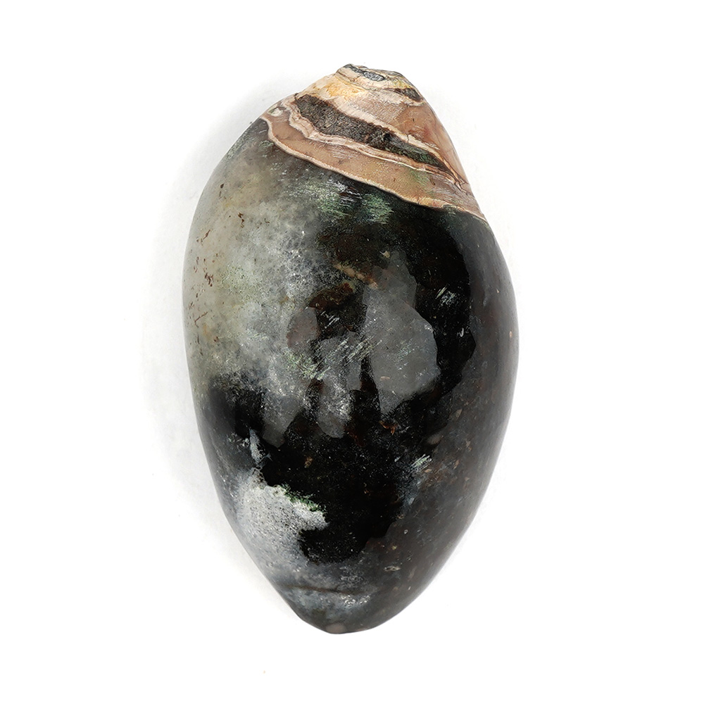 Heera Shankh - 104 gms