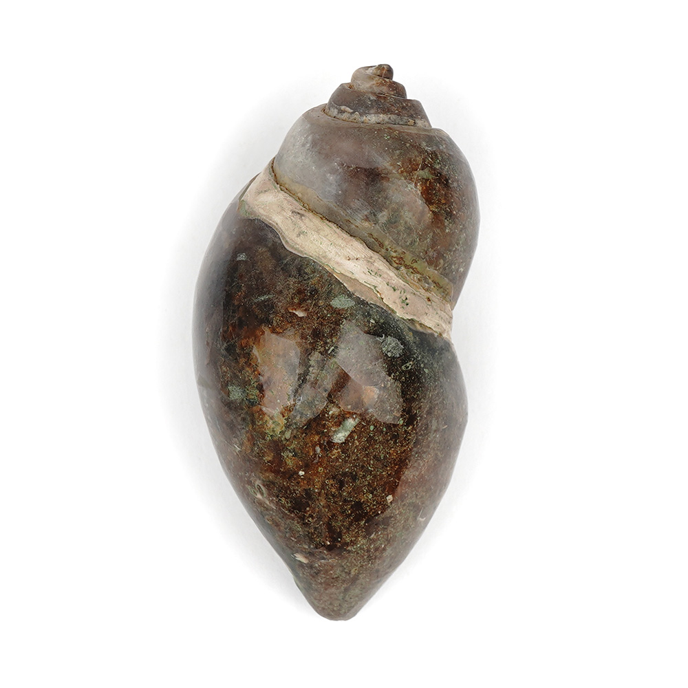 Heera Shankh - 90 gms