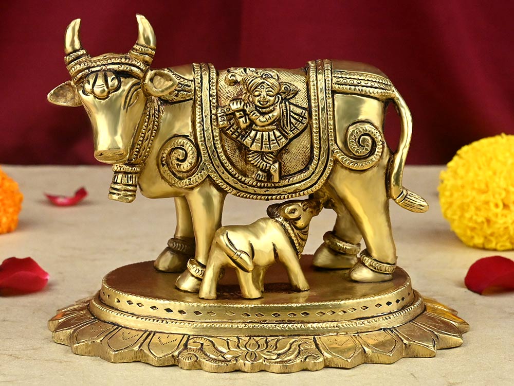 Surbhi Cow & Calf
