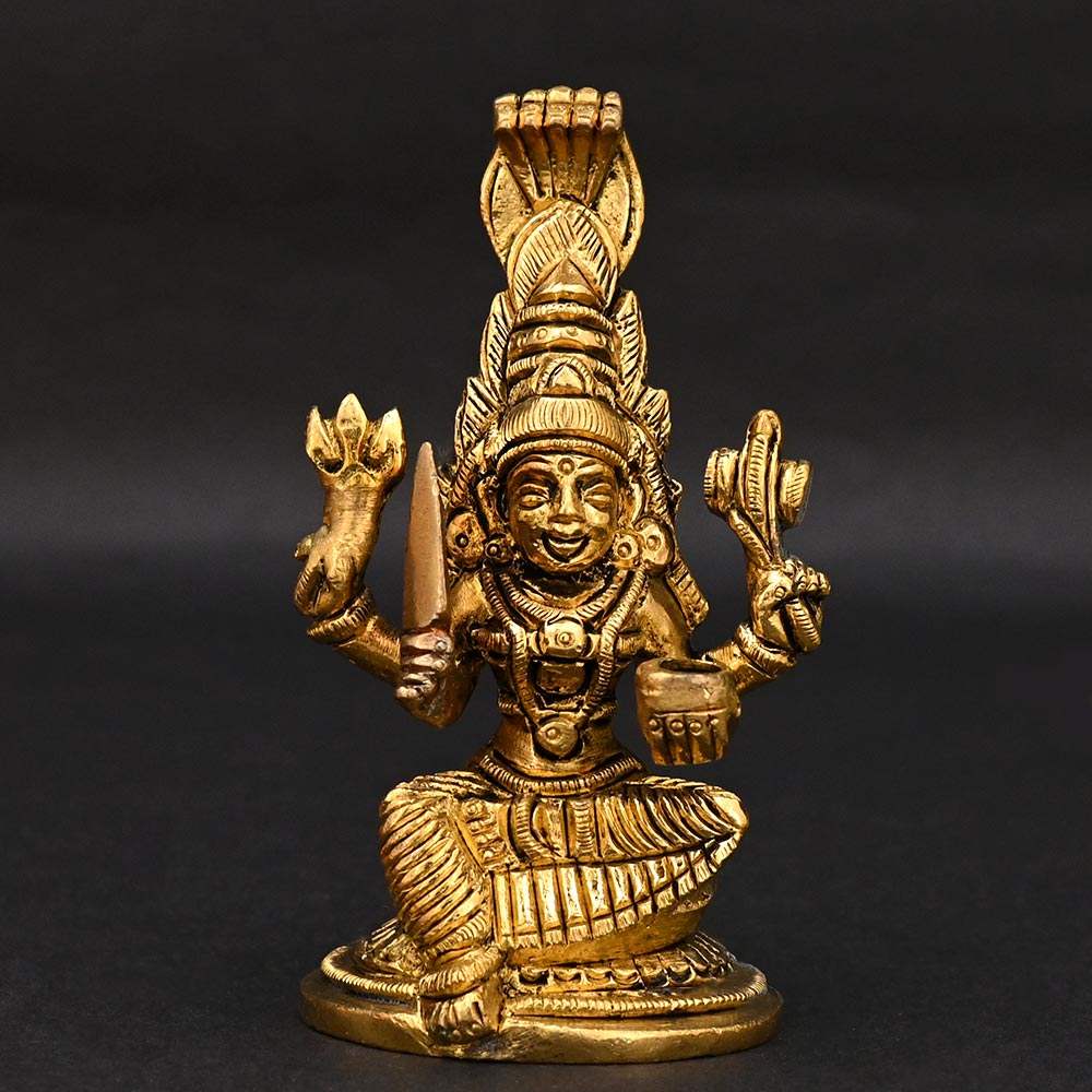 Karumari Devi Brass Idol