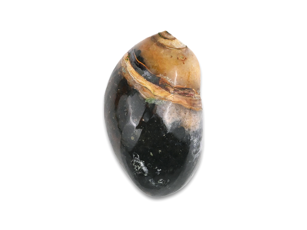 Heera Shankh - 138 gms