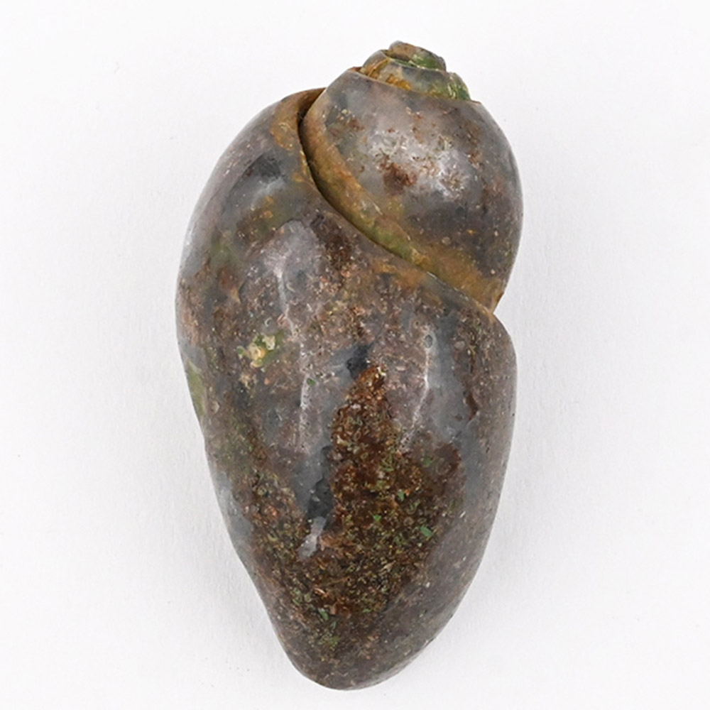 NK-1546-1