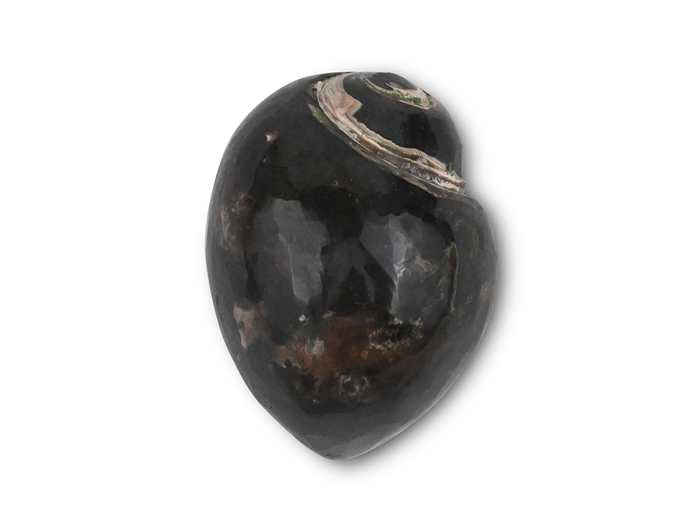 Heera Shankh - 89 gms
