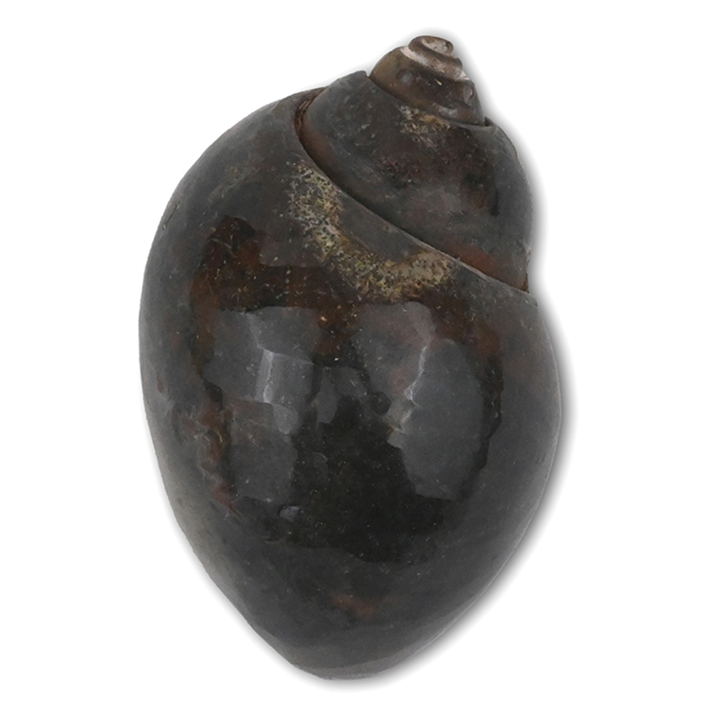 NK-1567-1