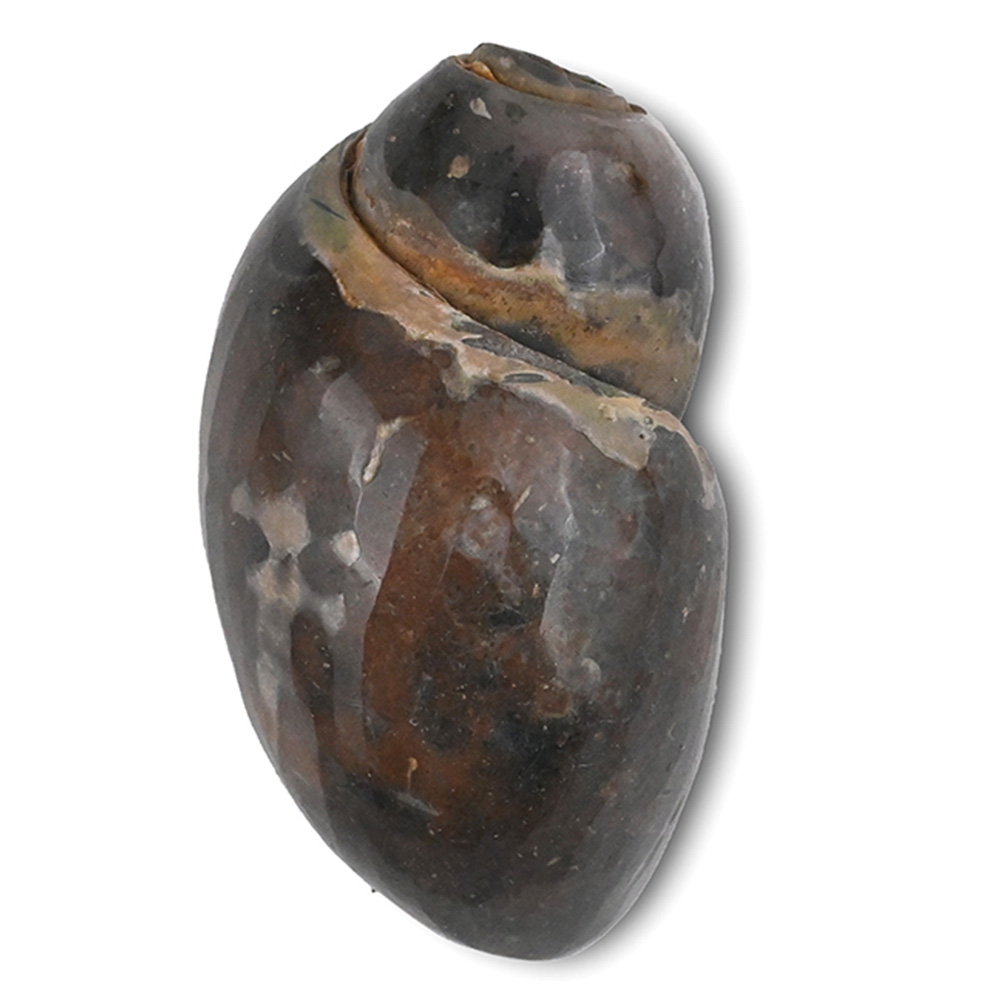 NK-1572-1