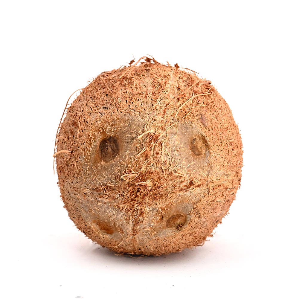 4 Eyed Coconut