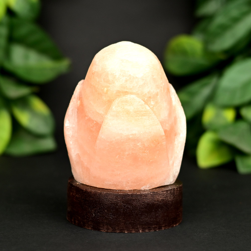 Rose Design Rock Salt Vastu Energizer Artifact