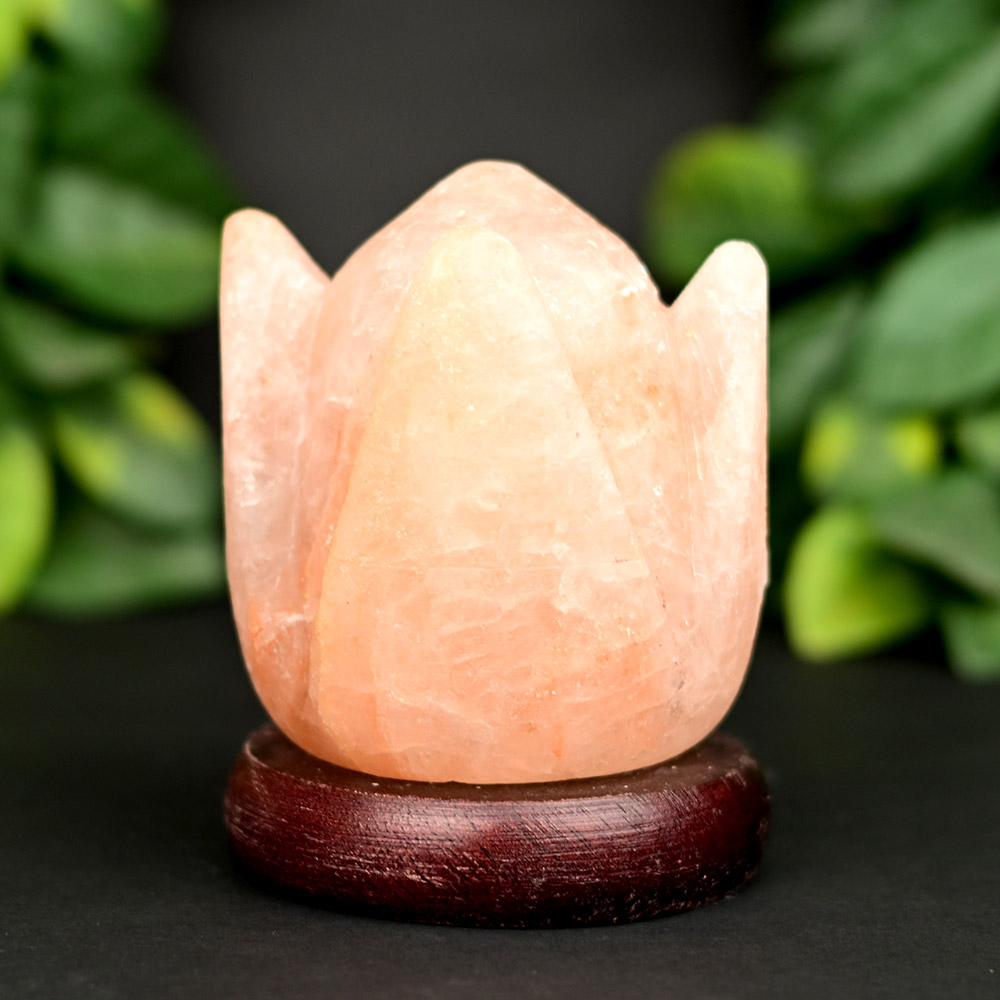 Flower Design Rock Salt Vastu Energizer Artifact