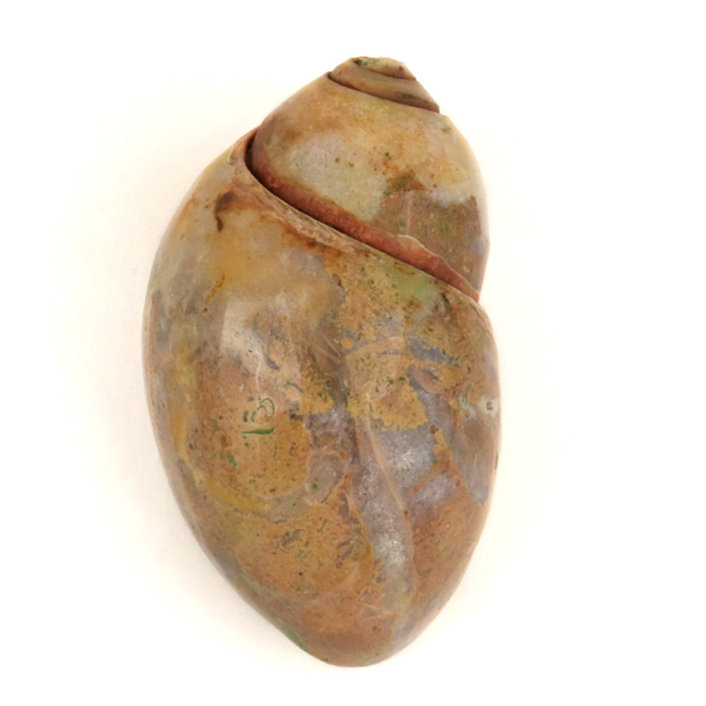 NK-2054-1