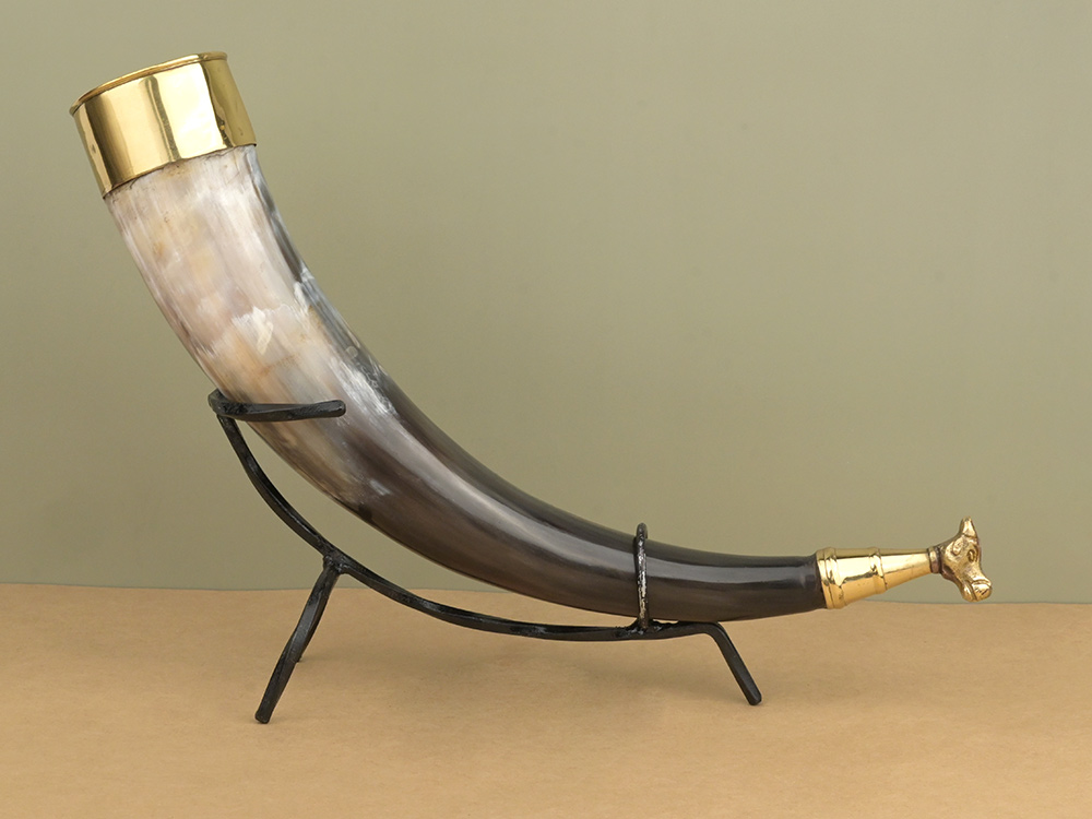 Bull Horn Gaumukhi Shringi for Abhishek - 241 gms