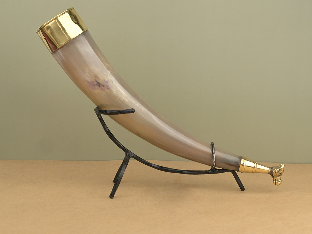 Bull Horn Gaumukhi Shringi for Abhishek - 265 gms