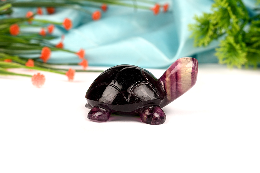 Multi Fluorite Kurma - 79 gms