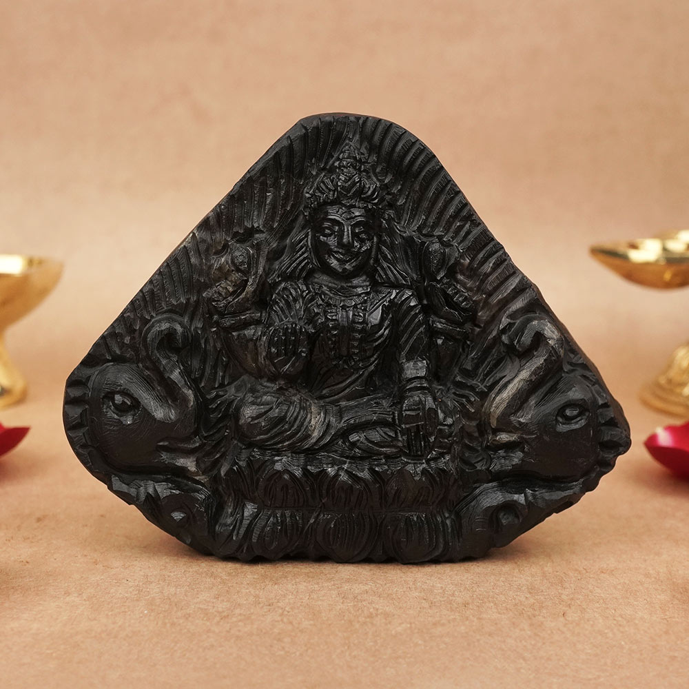 Gajalaxmi Shaligram Murti