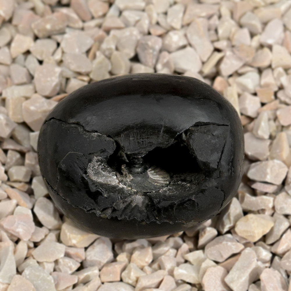 Swarna Laxmi Narayan Crystal Shaligram Shila