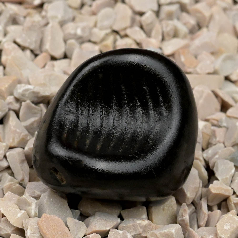 Gopada Shaligram Shila