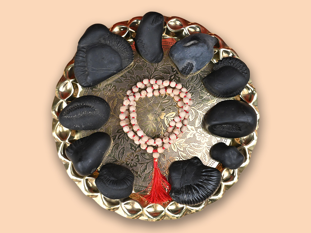 Dashavatar Shaligram Shila Set of 10