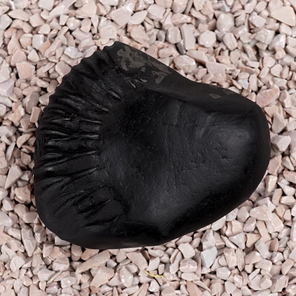 Swarna Parshuram Shaligram Shila