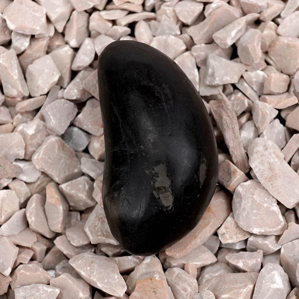 Swarna Mastya Murti Shaligram Shila