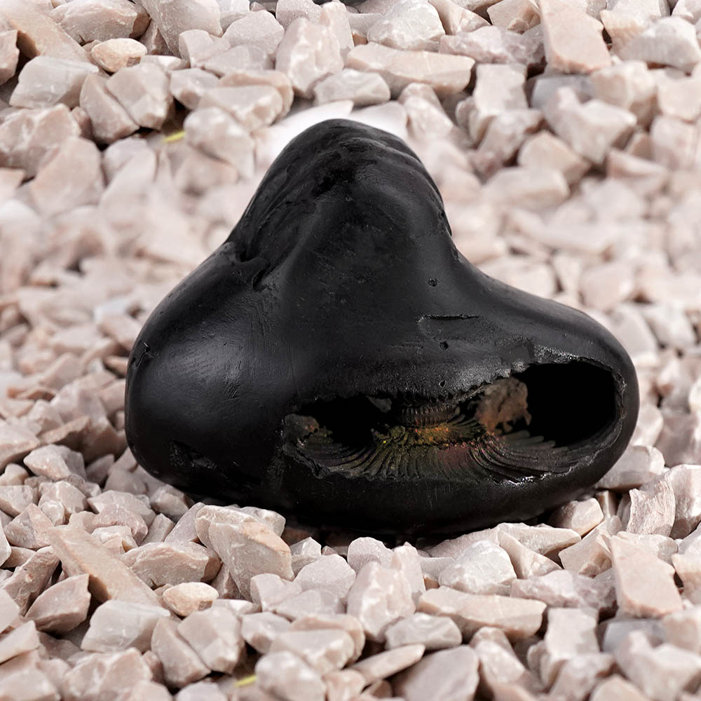 Chaturbhuj Chakradhari Maha Vishnu Shaligram Shila