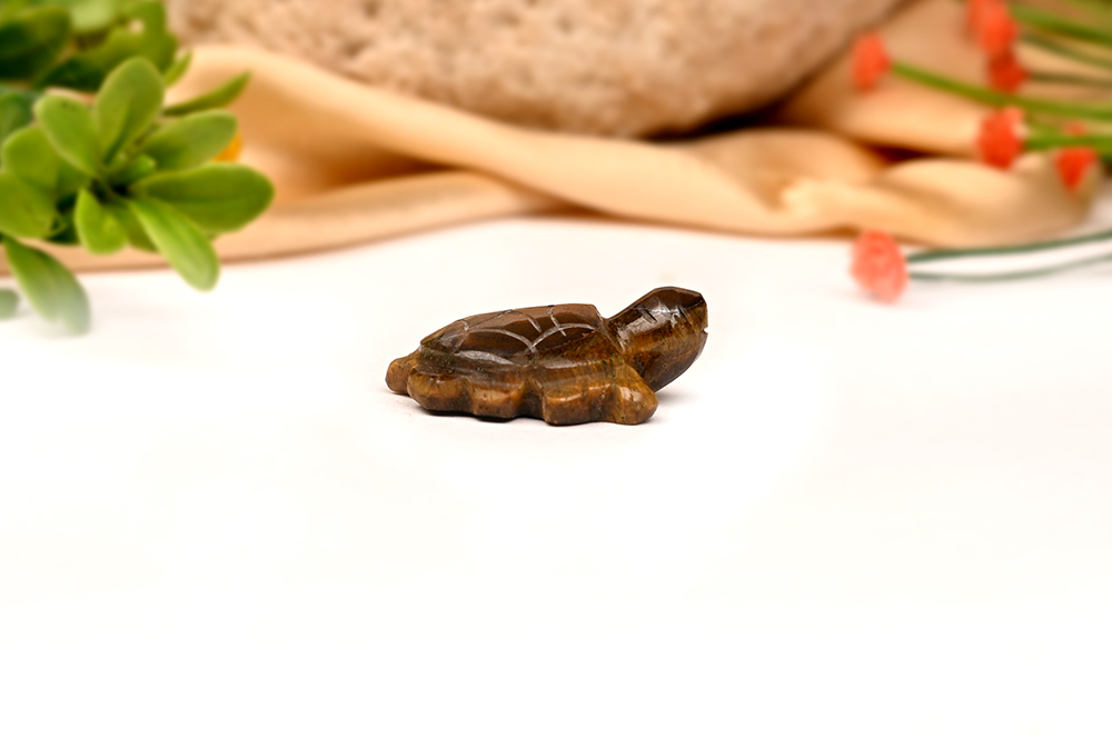 Tiger Eye Kurma