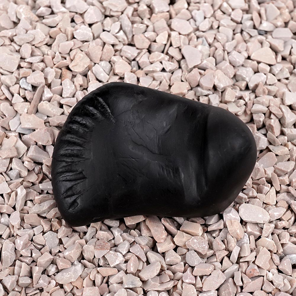 Vishnu Laxmi Sheshnaag Shaligram Shila