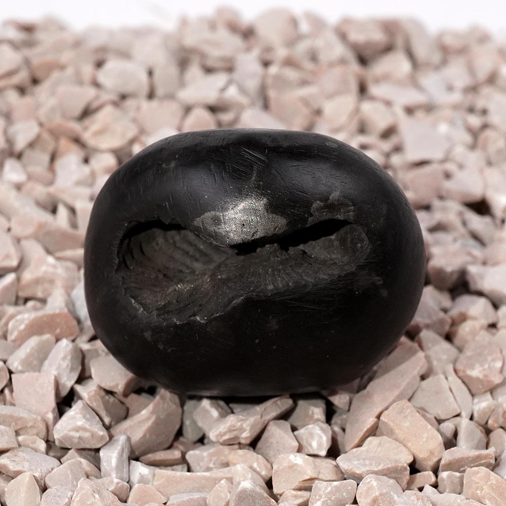 Laxmi Narayan Shaligram Shila - X