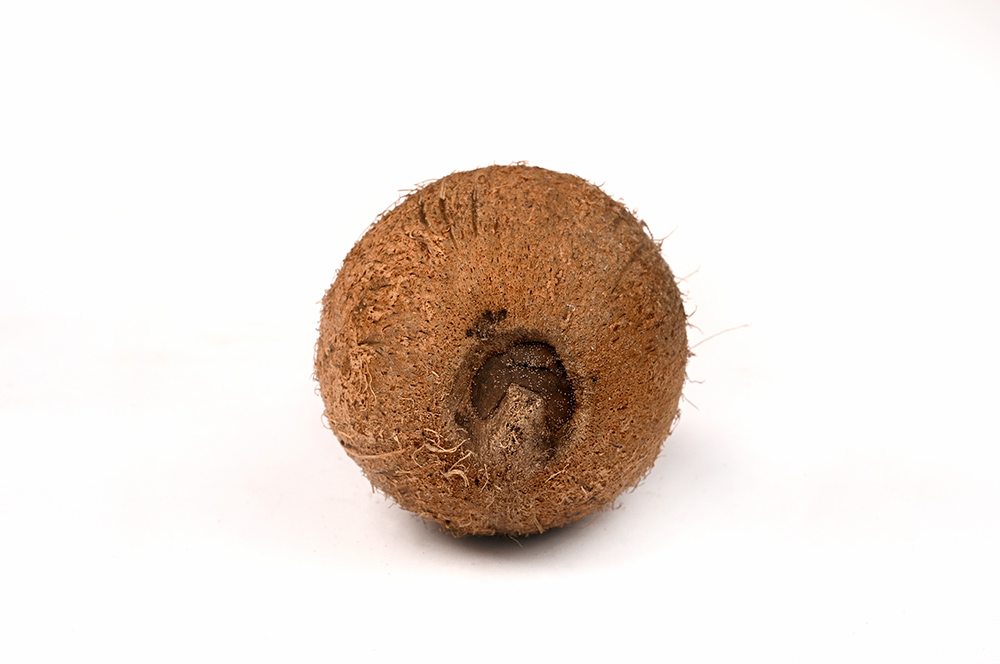 Ekakshi Nariyal (One Eyed Coconut)