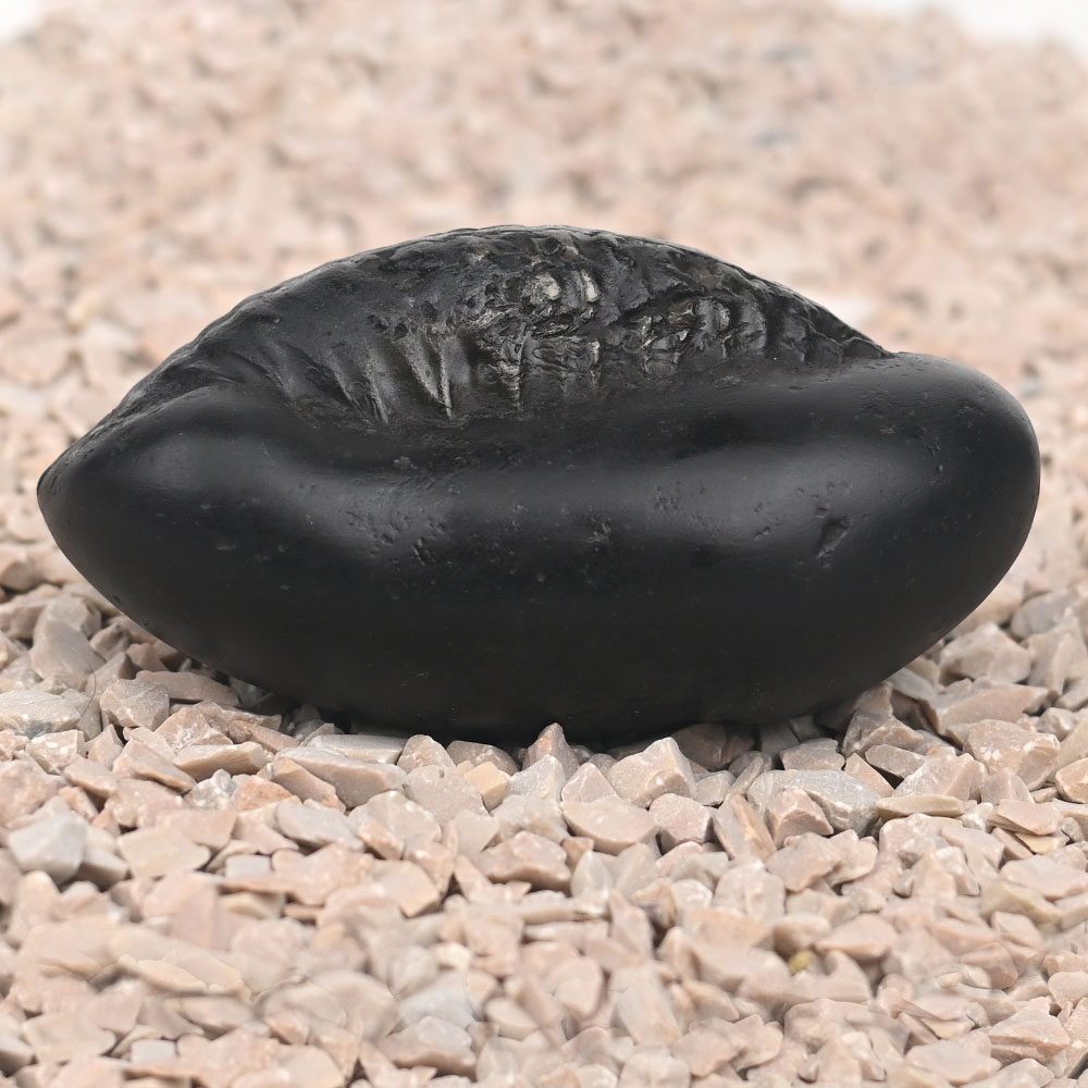 Matsya Roopam Shaligram Shila
