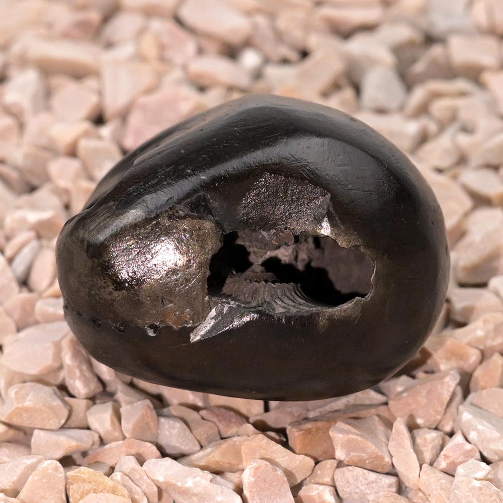 Golden Laxmi Narayan Shaligram Shila