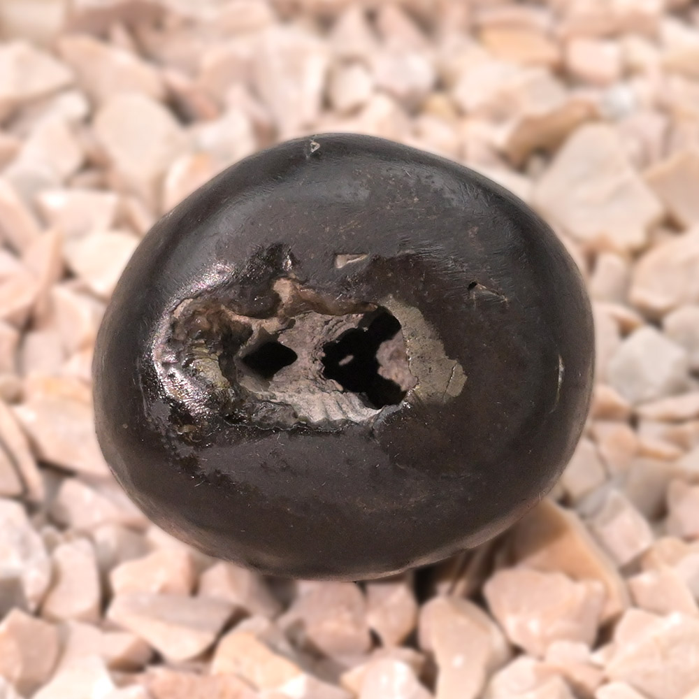 Gupt Laxmi Narsimha Shaligram Shila