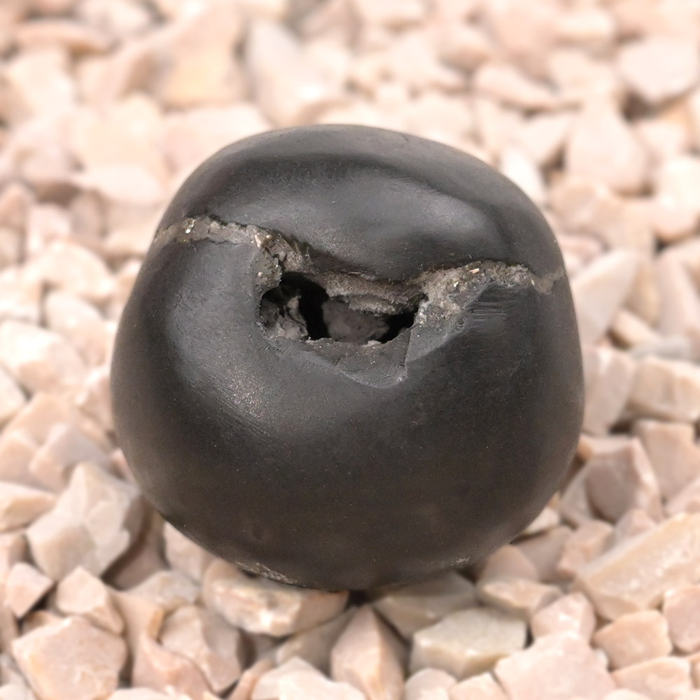 Chakradhari Vishnu Laxmi Shaligram Shila