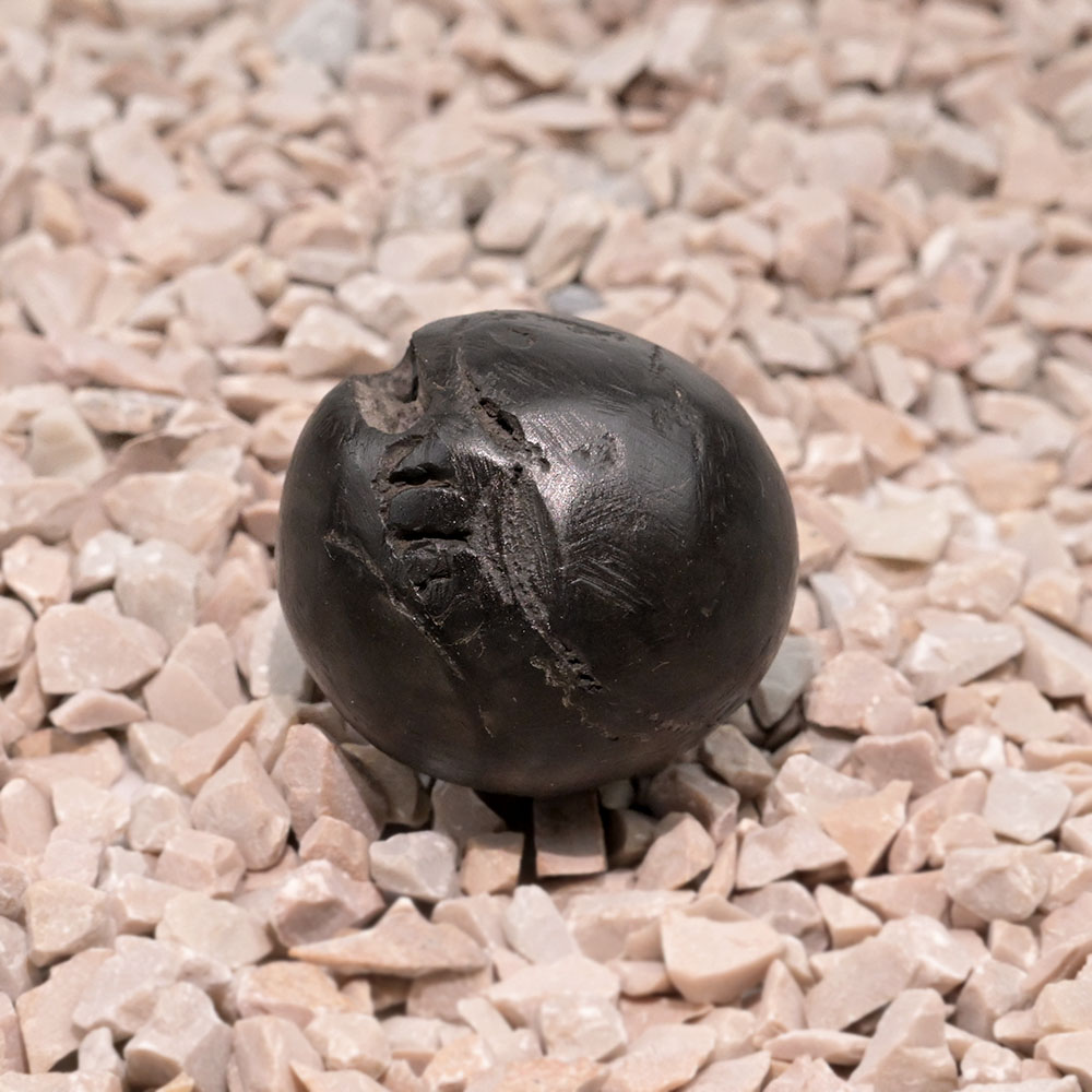 Chakradhari Gopal Vishnu Shaligram Shila