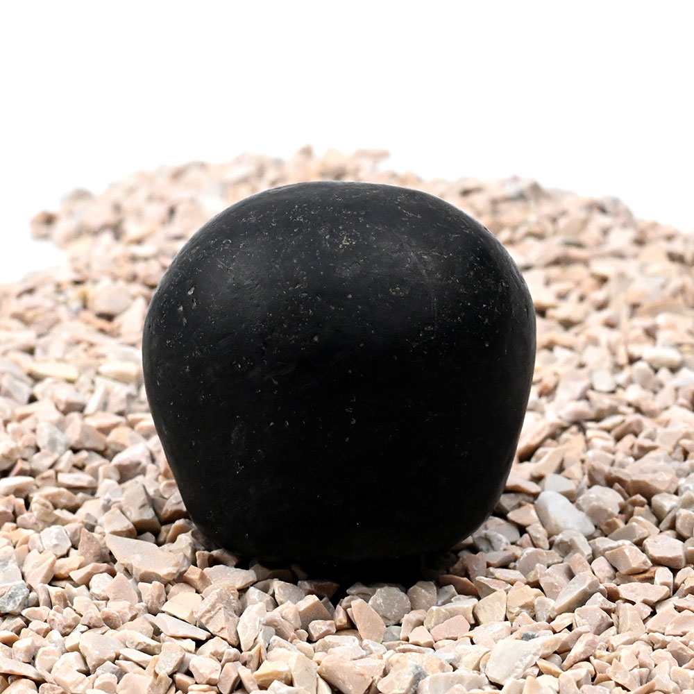 Govind Narayan Shaligram Shila