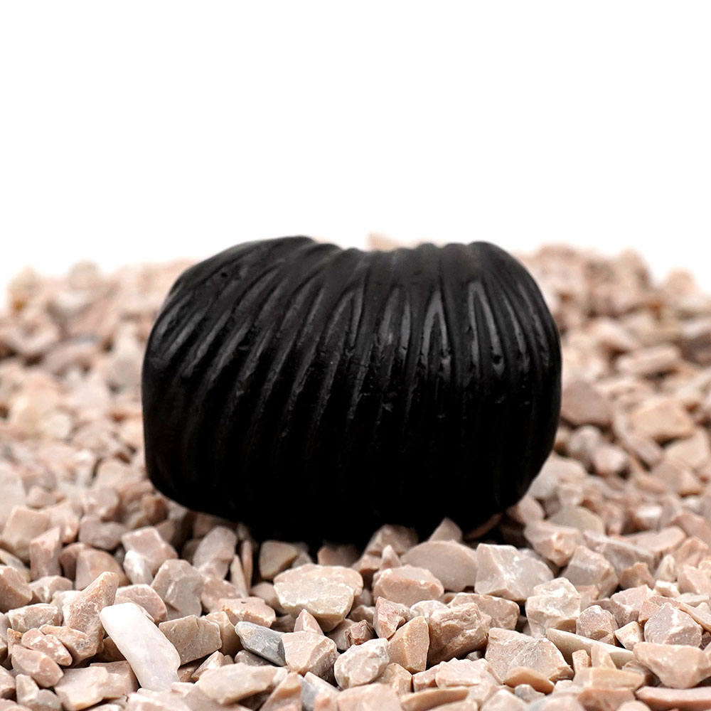 Rishikesh Shaligram Shila