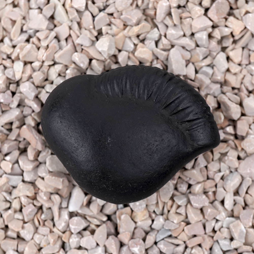 Kalki Laxmi Shaligram Shila