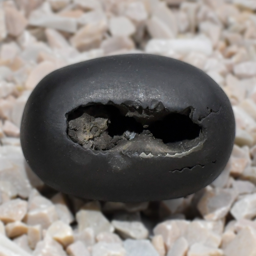 Laxmi Narsimha Shaligram Shila - 34 gms