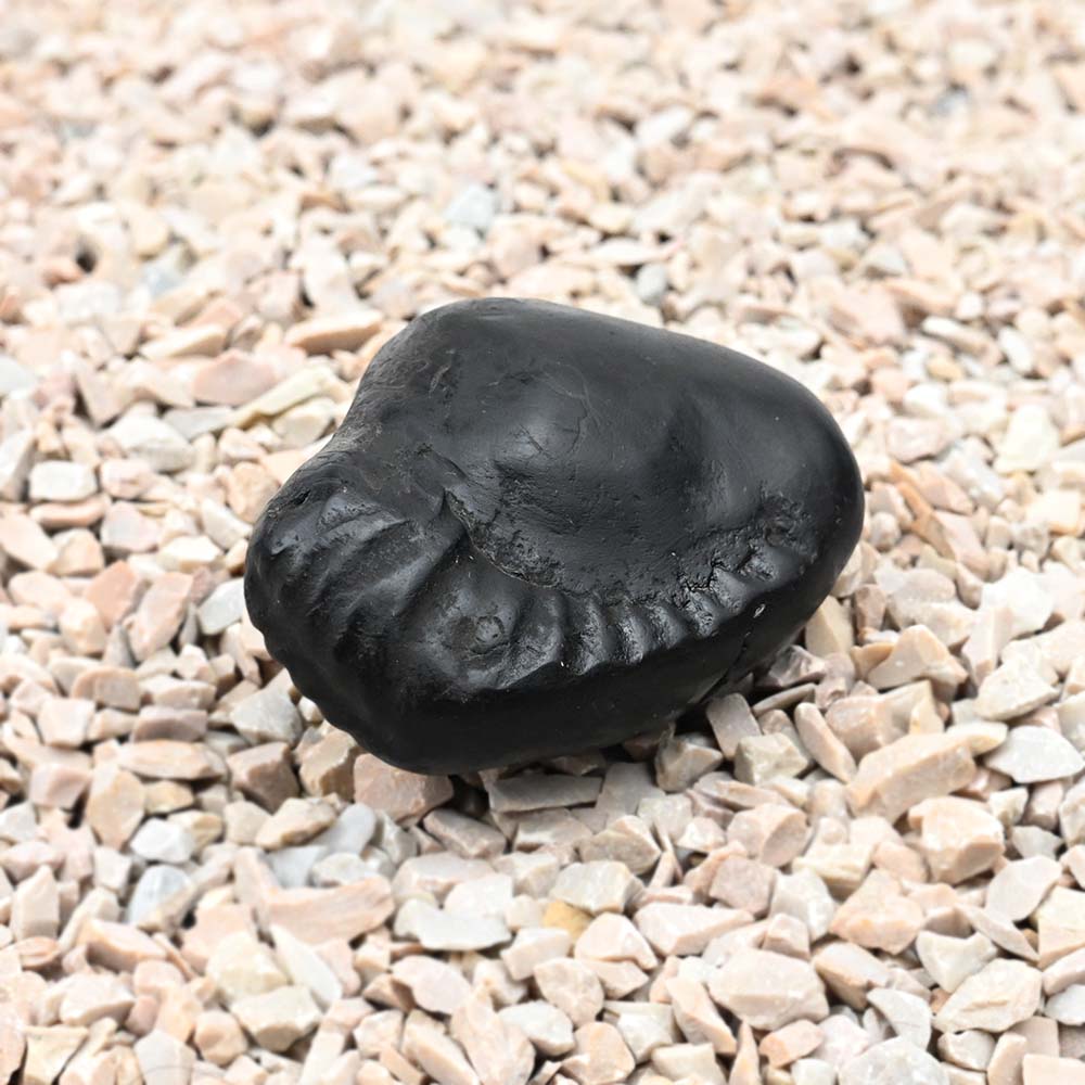 Keshav Shaligram Shila - I